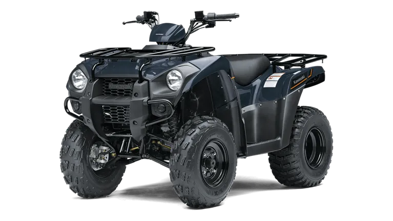 BRUTE FORCE 300